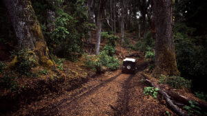 Viajar a Bariloche en una 4x4 te permitirá disfrutar los mejores circuitos de montaña! Bajar al lago Stephen o subir casi hasta la base del Cerro Lopez son solo algunos de los muchisimos recoridos que podes hacer. En Nido del Condor Hotel & Spa, tu hotel en Bariloche, te damos todos los tips para que puedas disfrutar a full de Bariloche!