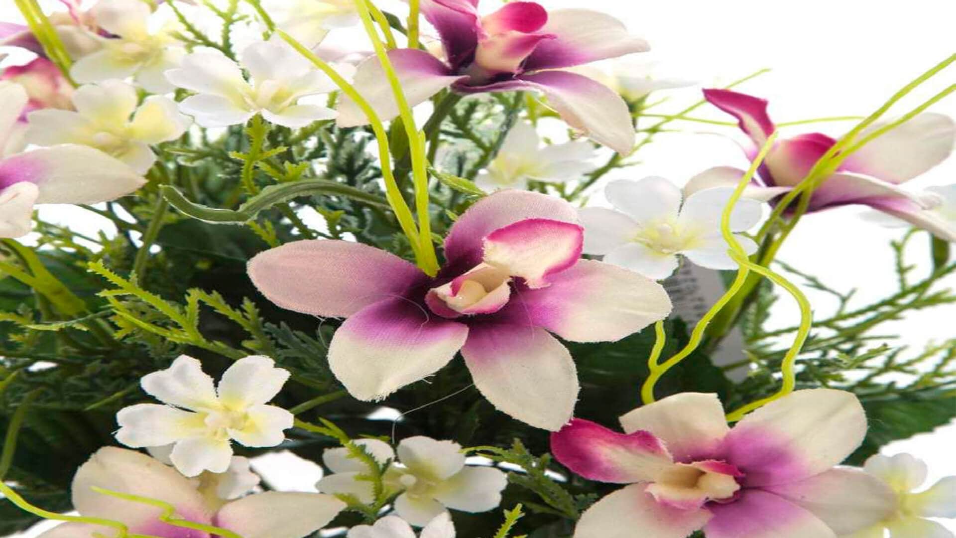 Podes regalar flores, vinos, champagne,chocolates un Dia de Spa y hasta una Gift Card de regalo. Todo en Nido del Condor Hotel & Spa, tu hotel en Bariloche.